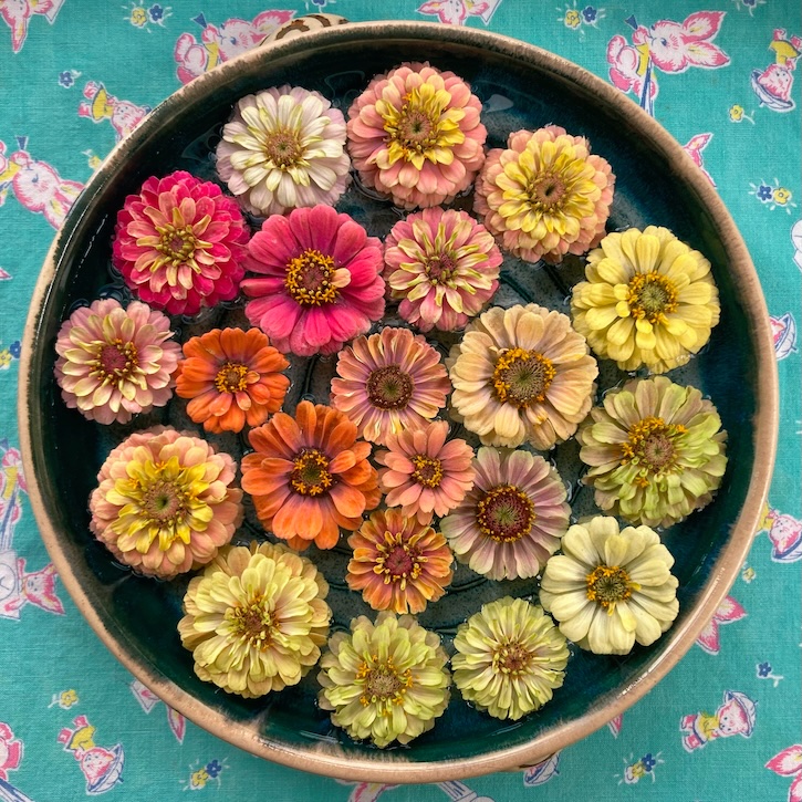 A broad, shallow, ceramic bowl filled with zinnias in shades of pink, orange, and yellow, sits on top of turquoise fabric printed with pink bunnies.